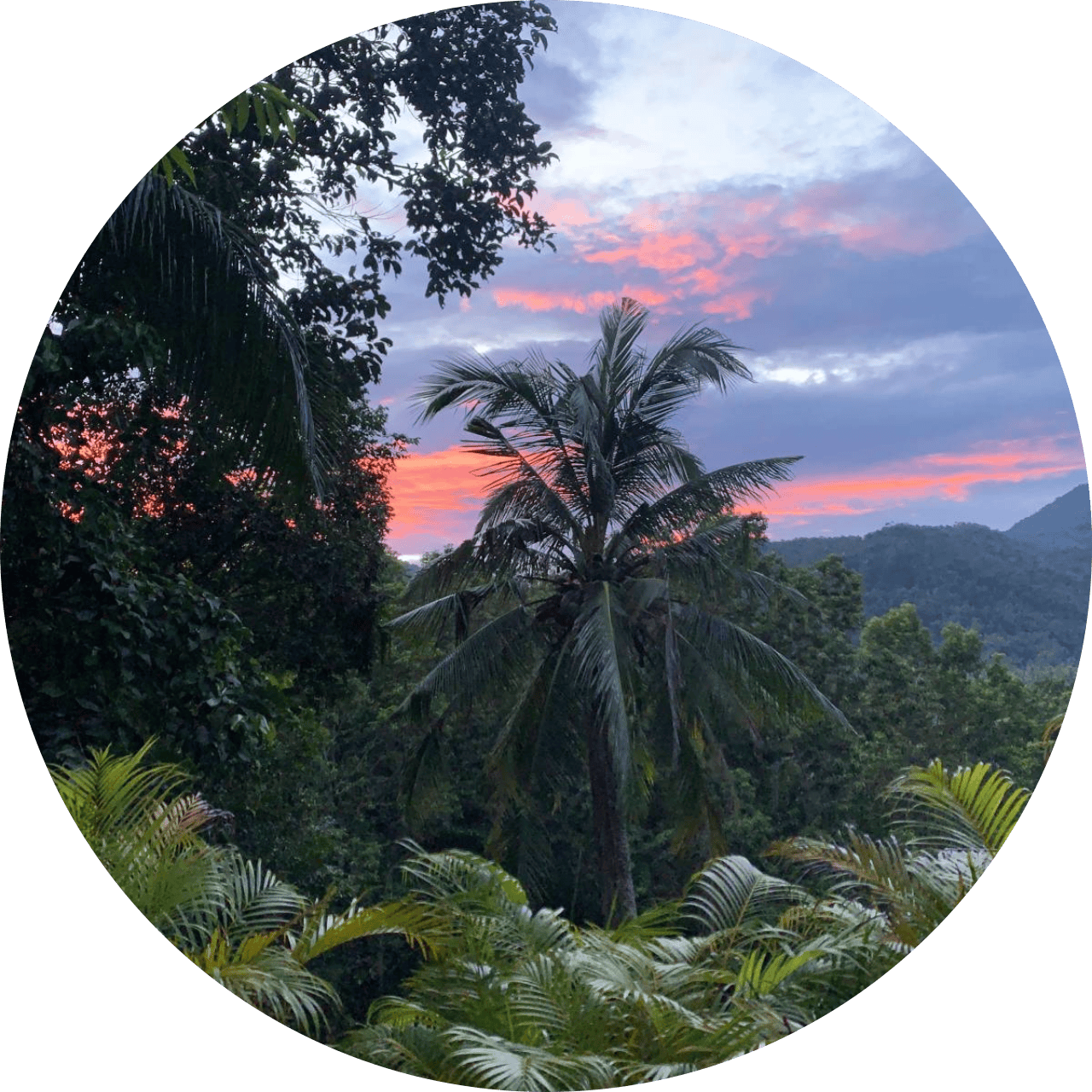 View from the balcony