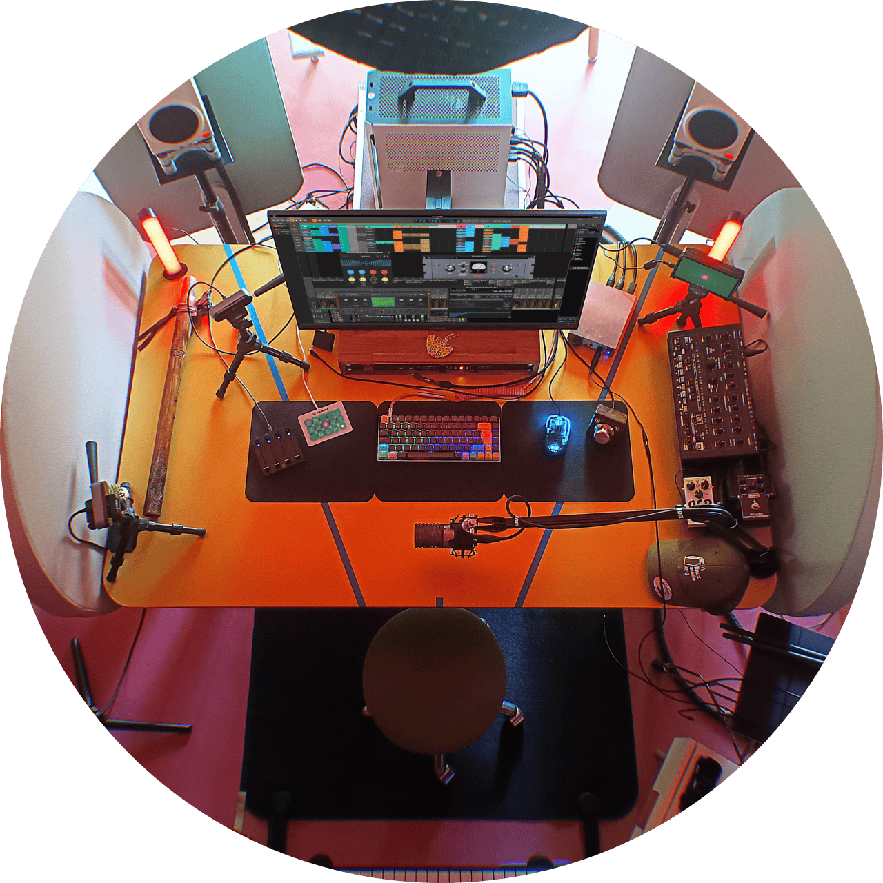 Amadeus' jungle studio