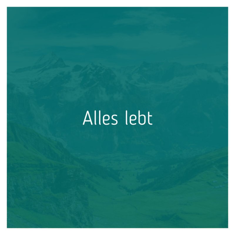 Alles lebt