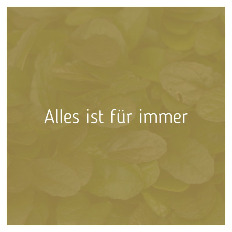 Alles ist für immer